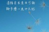 妻子出轨了我还能挽回吗？
